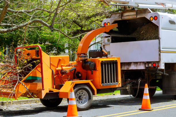 Best Grass Overseeding  in Trucksville, PA